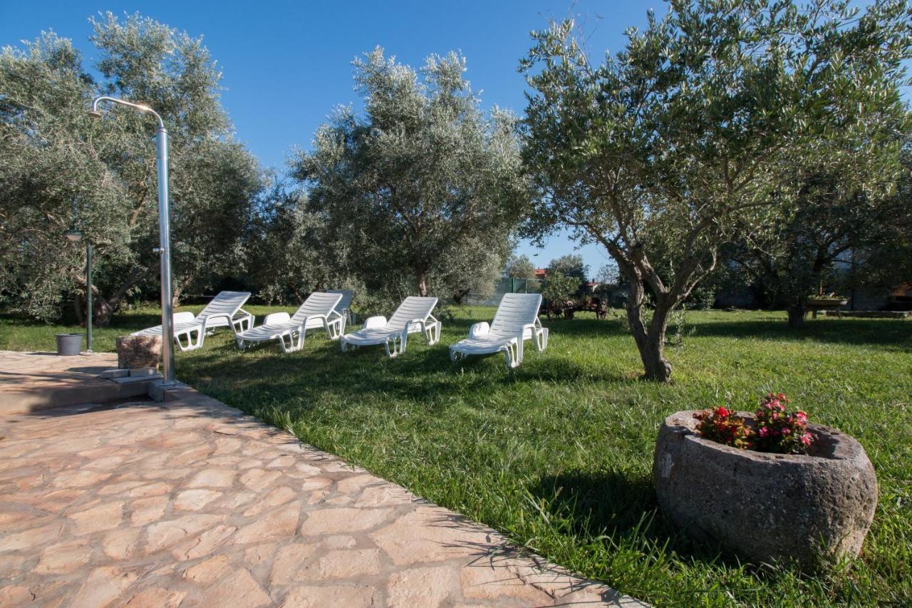 Appartement Wine House & Marceta